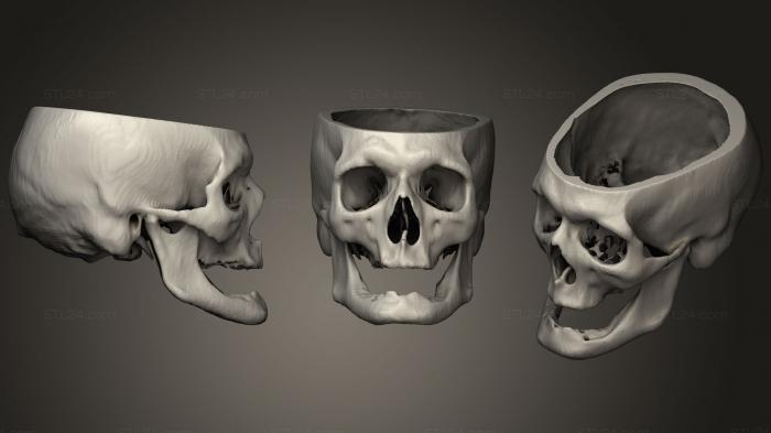 Anatomy of skeletons and skulls (Skull Male 69yo, ANTM_1295) 3D models for cnc